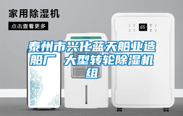 泰州市興化藍天船業(yè)造船廠 大型轉輪除濕機組