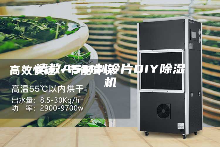 請教ASM制冷片DIY除濕機