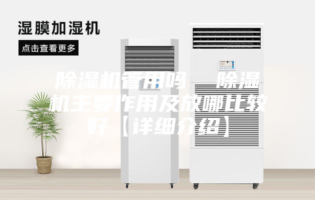 除濕機管用嗎  除濕機主要作用及放哪比較好【詳細介紹】