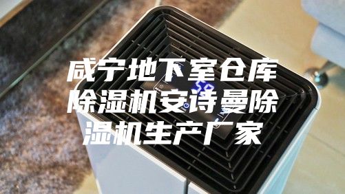 咸寧地下室倉庫除濕機安詩曼除濕機生產廠家