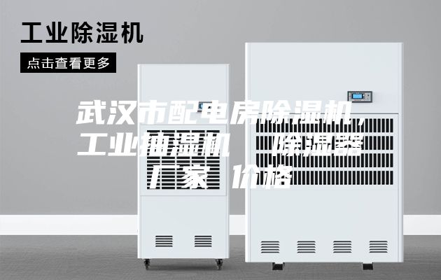 武漢市配電房除濕機，工業抽濕機  除濕器廠家 價格