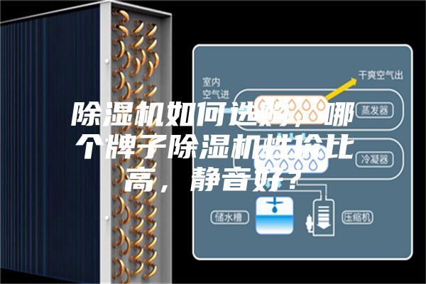 除濕機如何選購，哪個牌子除濕機性價比高，靜音好？