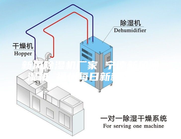 新風除濕機廠家 寧德新風除濕機 福州每日新新風系統