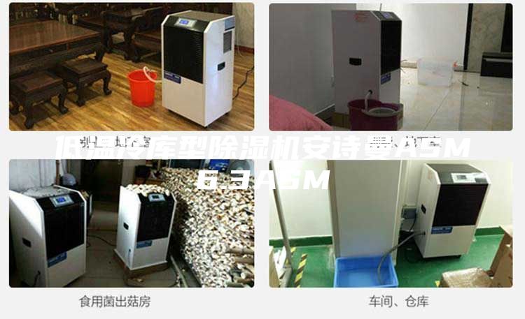 低溫冷庫型除濕機(jī)安詩曼ASM6.3ASM