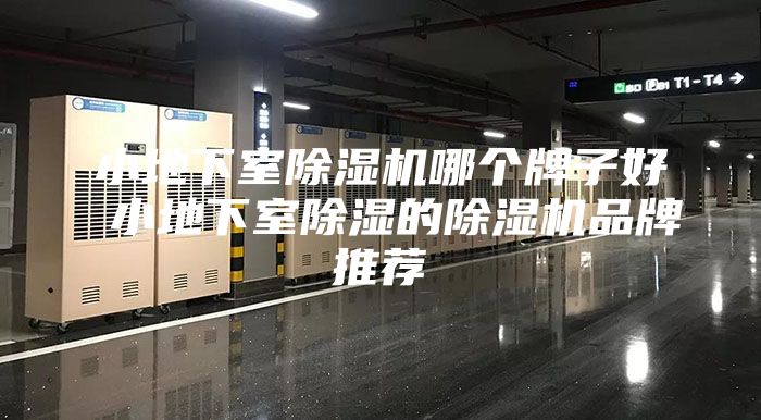 小地下室除濕機哪個牌子好 小地下室除濕的除濕機品牌推薦