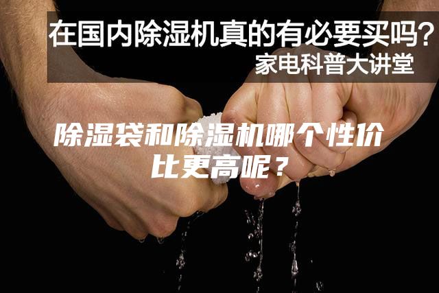 除濕袋和除濕機哪個性價比更高呢？