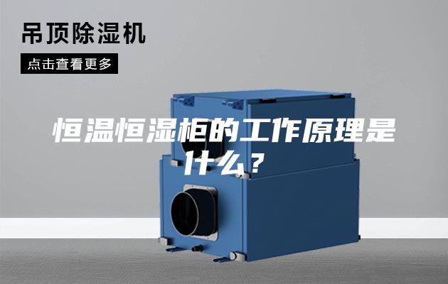 恒溫恒濕柜的工作原理是什么？