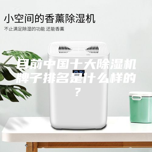 目前中國十大除濕機牌子排名是什么樣的？