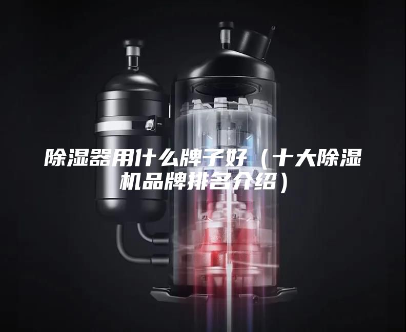 除濕器用什么牌子好（十大除濕機品牌排名介紹）