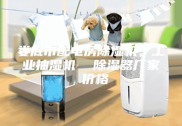 婁底市配電房除濕機，工業抽濕機  除濕器廠家 價格