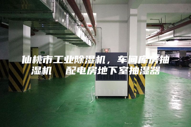 仙桃市工業除濕機，車間庫房抽濕機  配電房地下室抽濕器