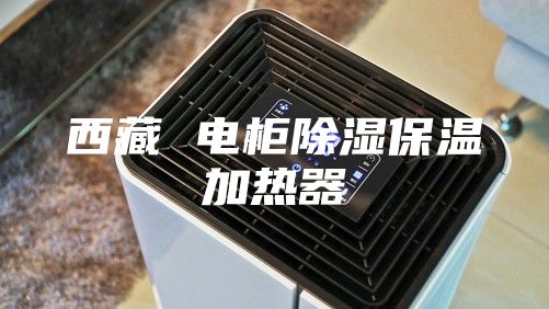 西藏 電柜除濕保溫加熱器