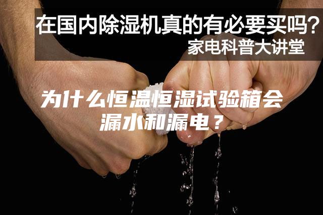 為什么恒溫恒濕試驗箱會漏水和漏電？