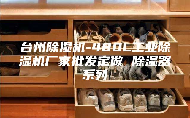 臺州除濕機-480L工業(yè)除濕機廠家批發(fā)定做 除濕器系列