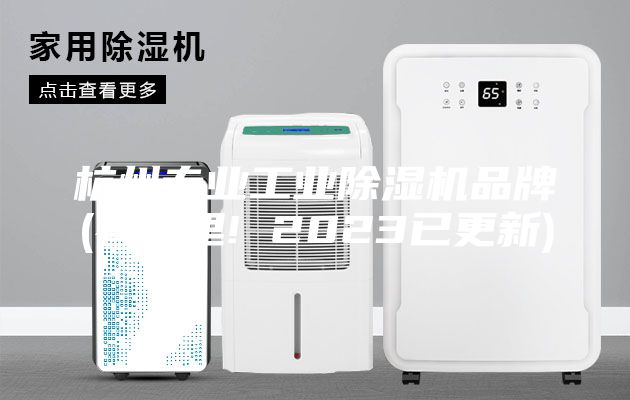 杭州專業(yè)工業(yè)除濕機(jī)品牌(看這里! 2023已更新)