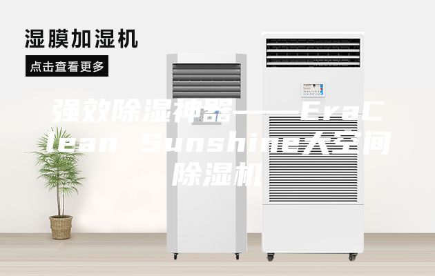 強效除濕神器――EraClean Sunshine大空間除濕機