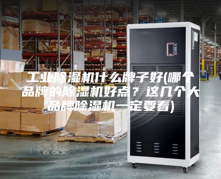 工業除濕機什么牌子好(哪個品牌的除濕機好點？這幾個大品牌除濕機一定要看)