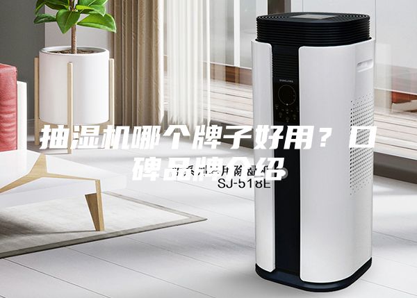 抽濕機哪個牌子好用？口碑品牌介紹