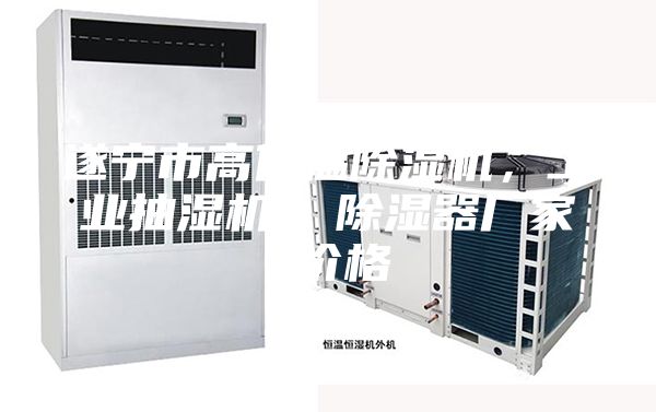 遂寧市高低溫除濕機(jī)，工業(yè)抽濕機(jī)  除濕器廠家 價(jià)格