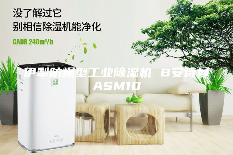 伊犁防爆型工業(yè)除濕機(jī) B安詩(shī)曼ASM10