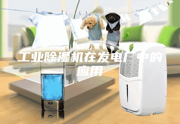 工業(yè)除濕機在發(fā)電廠中的應用