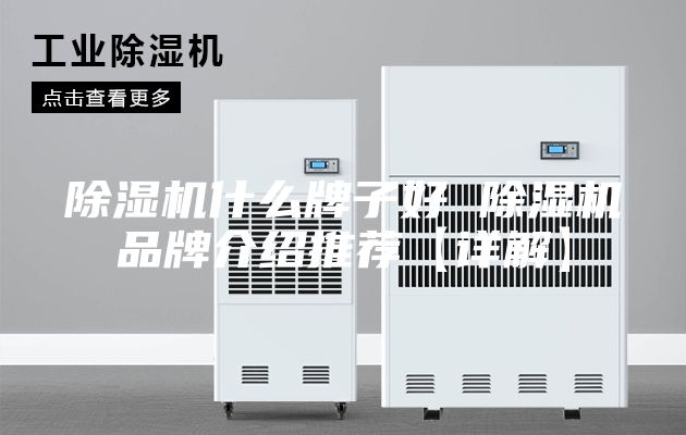 除濕機什么牌子好 除濕機品牌介紹推薦【詳解】