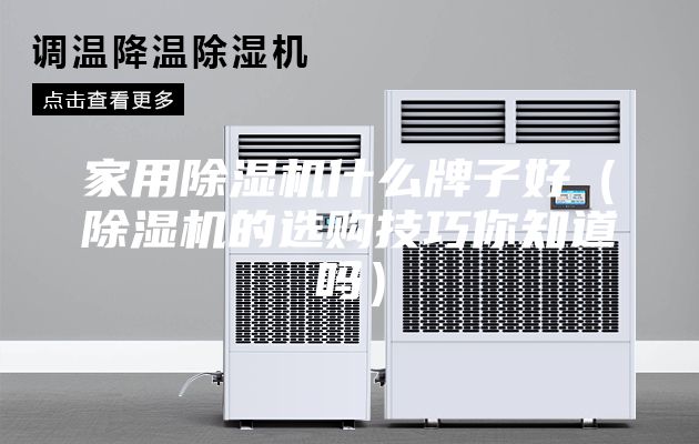 家用除濕機什么牌子好（除濕機的選購技巧你知道嗎）