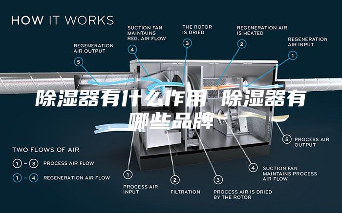 除濕器有什么作用 除濕器有哪些品牌