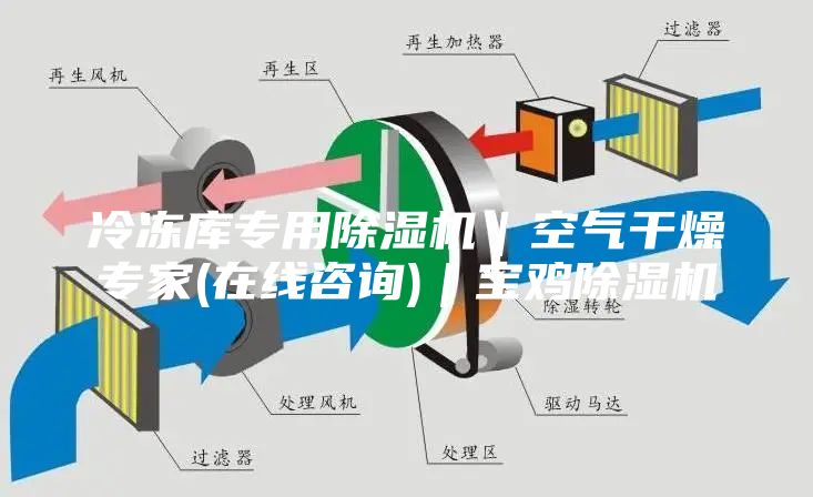 冷凍庫專用除濕機｜空氣干燥專家(在線咨詢)｜寶雞除濕機