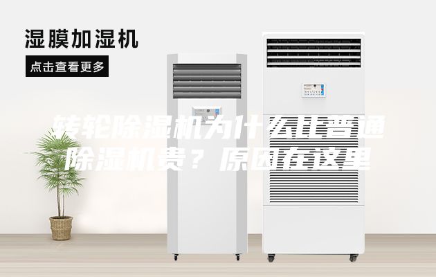 轉輪除濕機為什么比普通除濕機貴？原因在這里