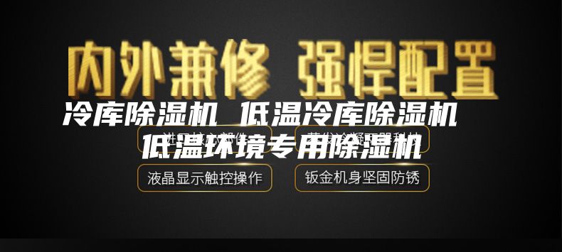 冷庫除濕機 低溫冷庫除濕機  低溫環(huán)境專用除濕機