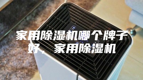 家用除濕機哪個牌子好，家用除濕機