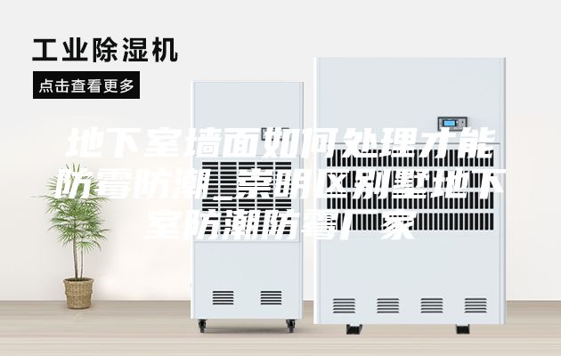 地下室墻面如何處理才能防霉防潮_崇明區別墅地下室防潮防霉廠家