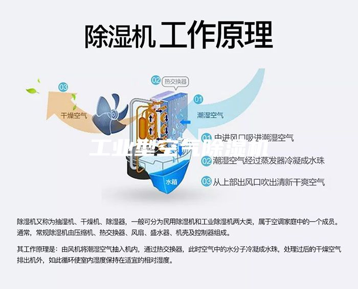 工業型空氣除濕機