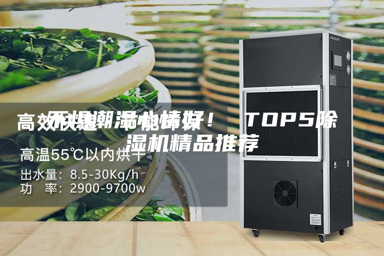 不懼潮濕心情好！ TOP5除濕機(jī)精品推薦