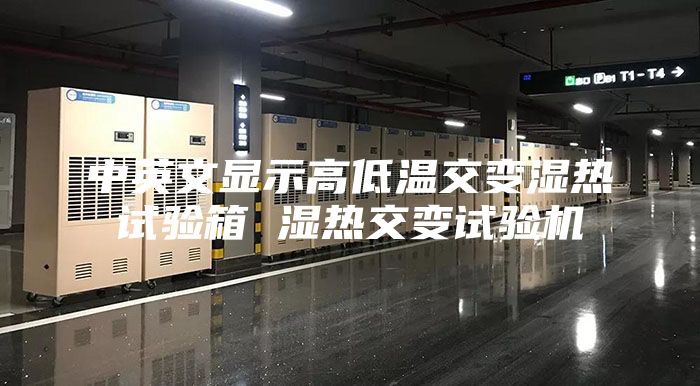 中英文顯示高低溫交變濕熱試驗箱 濕熱交變試驗機