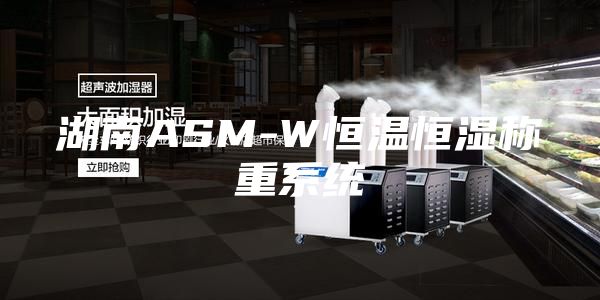 湖南ASM-W恒溫恒濕稱重系統