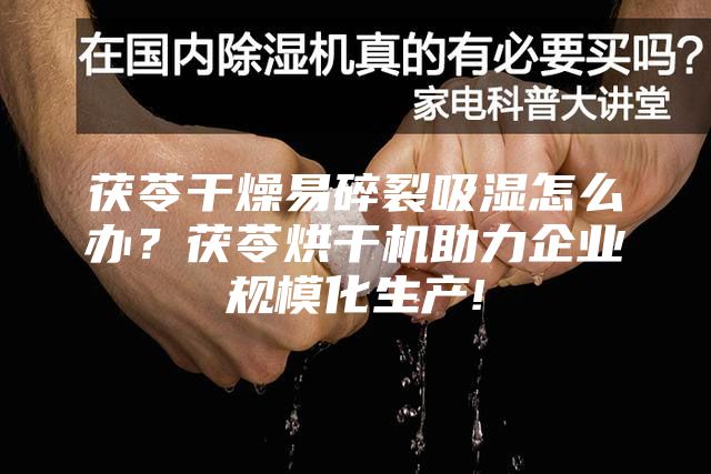 茯苓干燥易碎裂吸濕怎么辦？茯苓烘干機助力企業規模化生產!