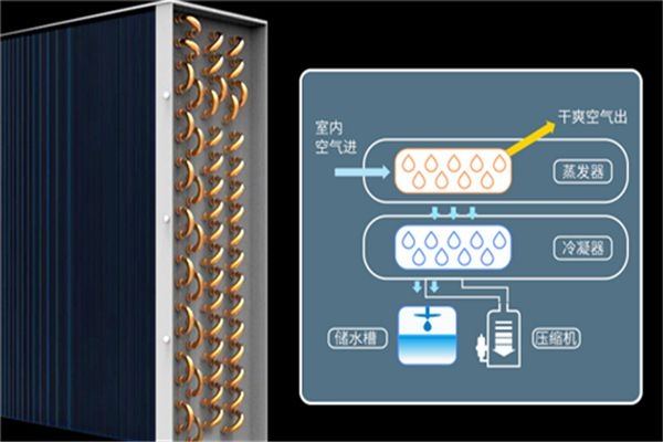 這些行業需要應用工業除濕機，你知道有哪些嗎？