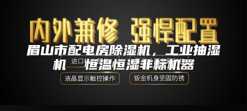 眉山市配電房除濕機(jī)，工業(yè)抽濕機(jī)  恒溫恒濕非標(biāo)機(jī)器